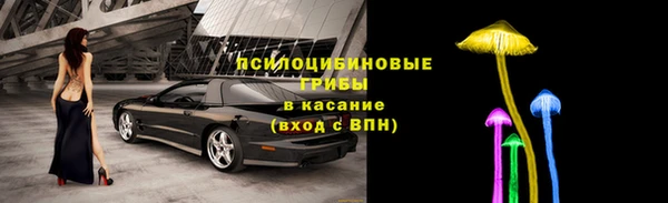 сатива Красноперекопск