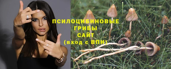 прущая мука Краснослободск