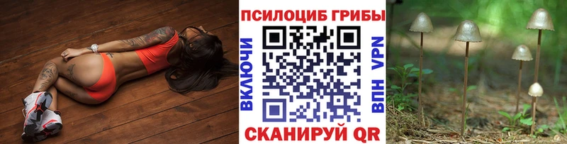 Псилоцибиновые грибы прущие грибы  Павловская 